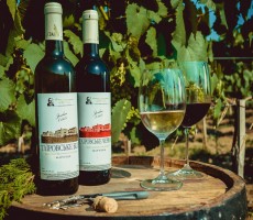 Институт Таирова