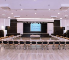 Конференц-зал «Совиньон»